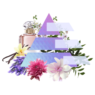 Да поговорим за парфюмите. Основни категории парфюми