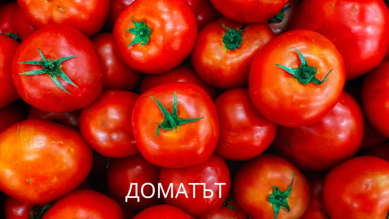 Любопитни факти за доматите