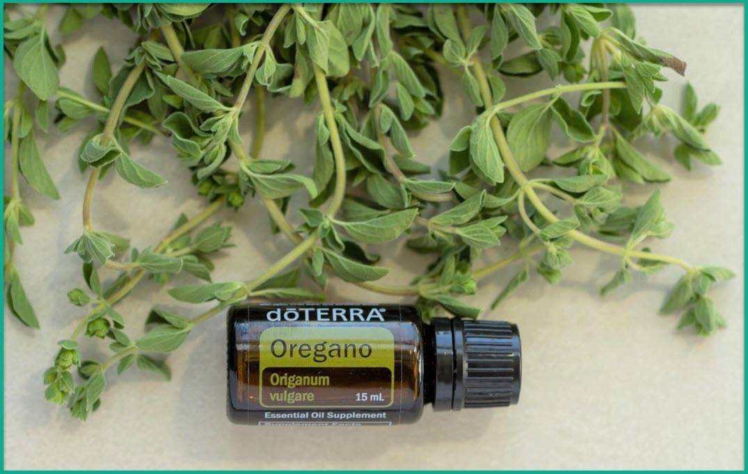 <strong>Маслата на DoTERRA – здраве за всички</strong>