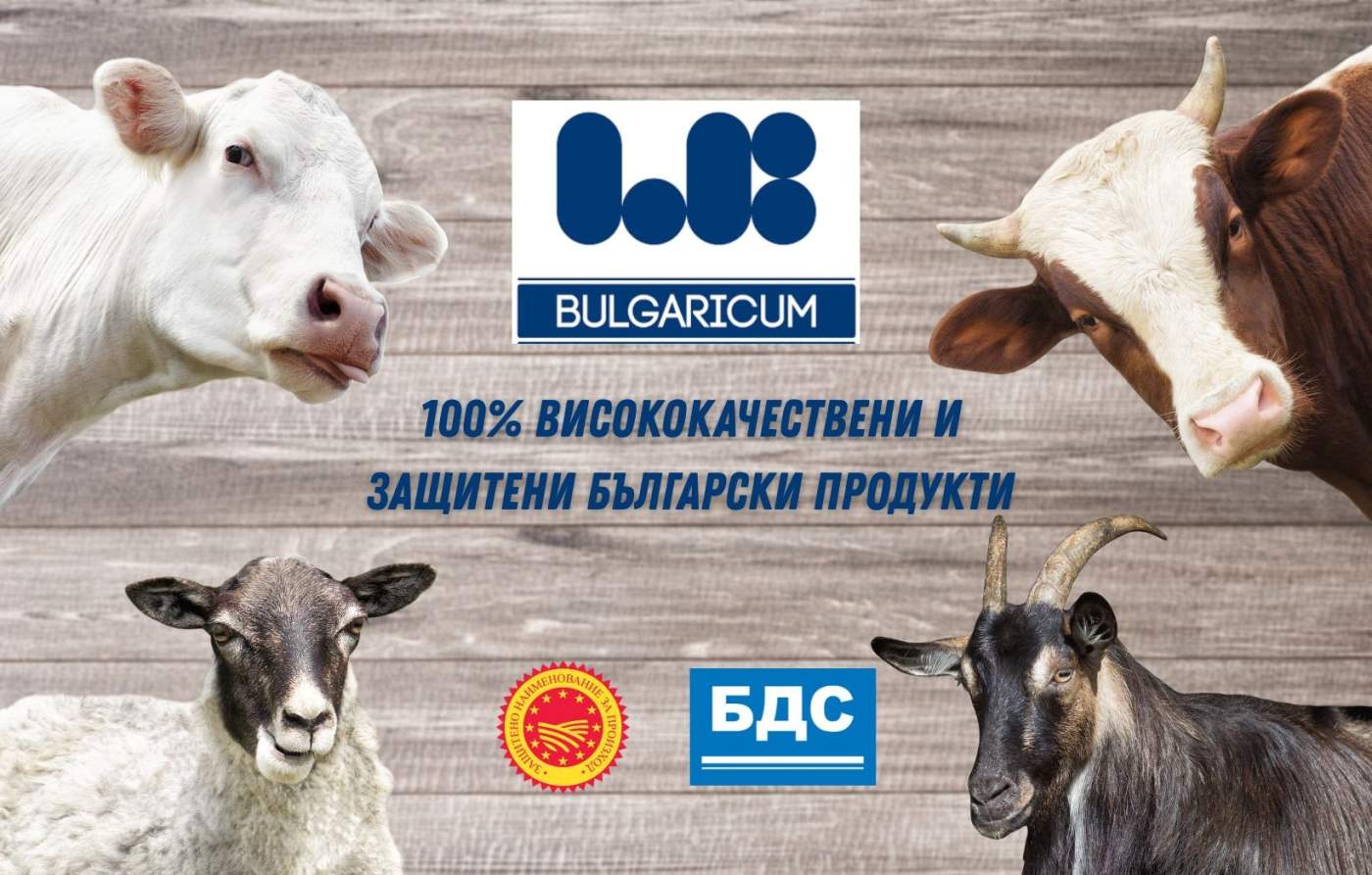 БДС и ЗНП: Какво означават и защо са важни за вашето здраве?