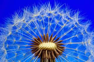 Живот след смъртта